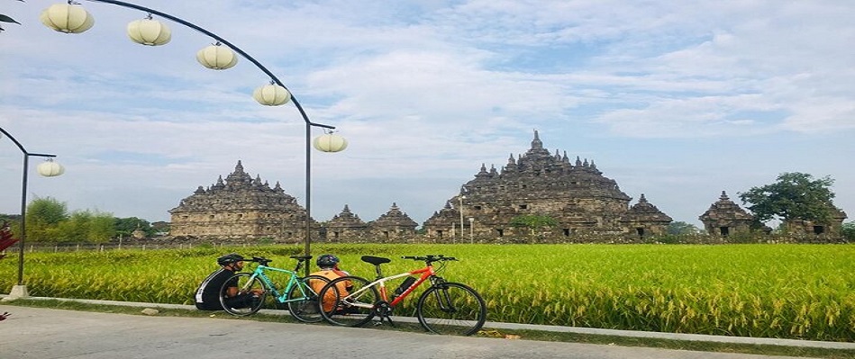 bike tpi
